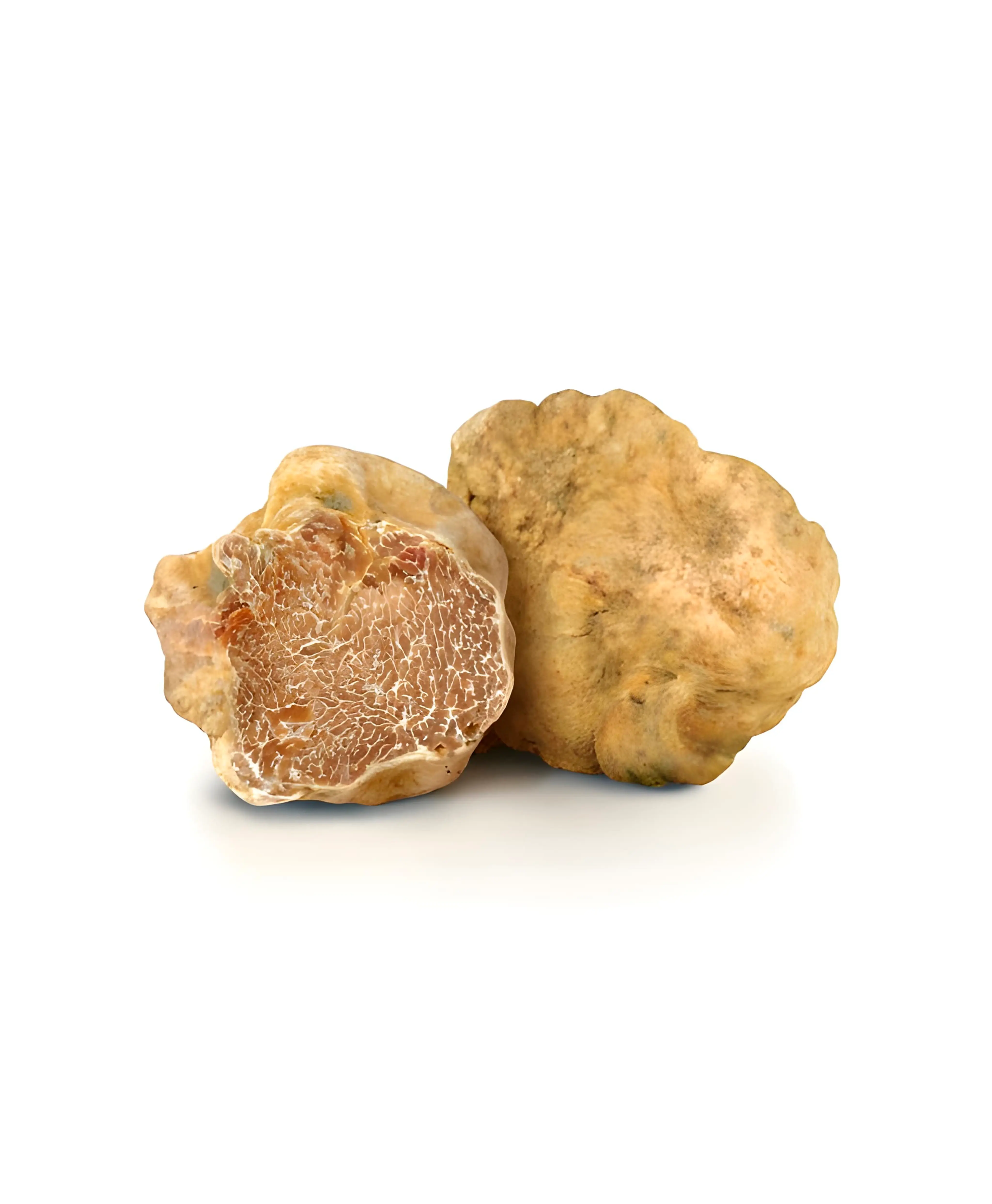 Tartufo bianco