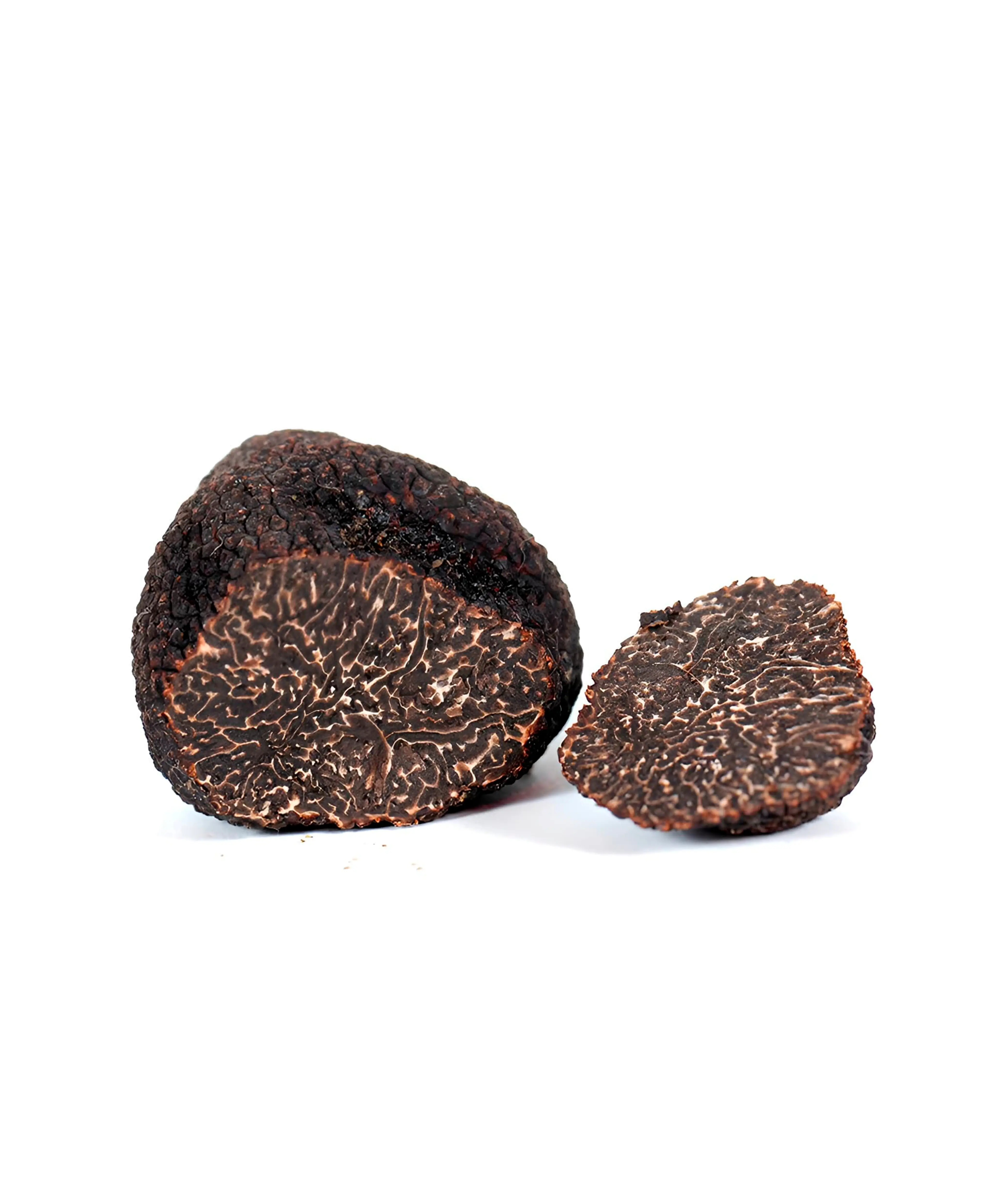 Tartufo nero pregiato